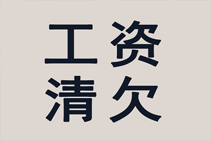 欠款案件法院执行判决详解